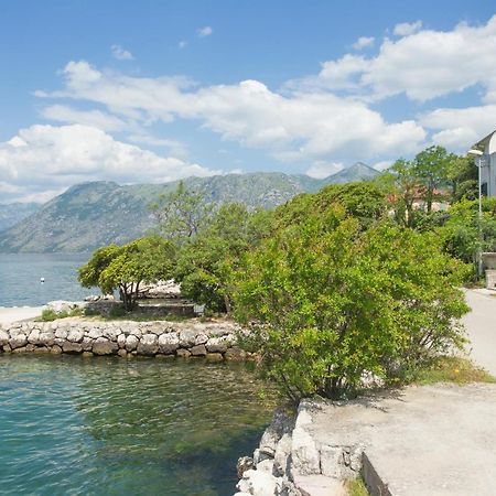 Villa Iva Kotor Dış mekan fotoğraf